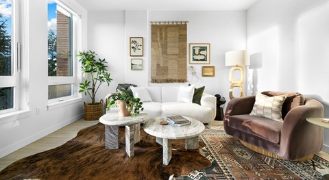 A living room with a brown rug and a brown chair.