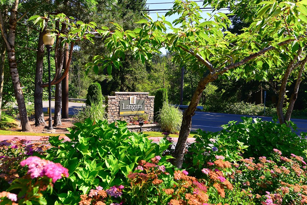 beautiful landscaping