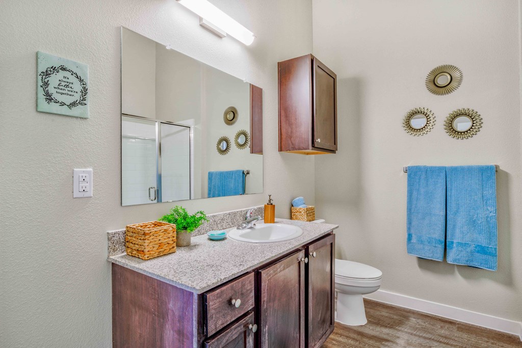 Vanity Lights at LIV at Boerne Hills an Active Senior Community 62+, Boerne