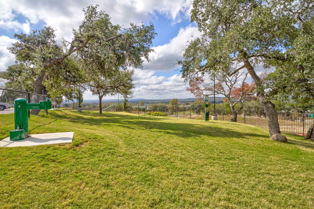 a park with green grass and trees and a green apparatus