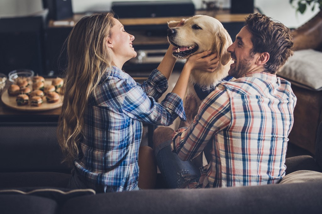 a man and woman sitting on a couch with a dog