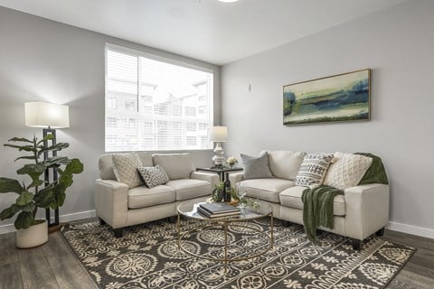 a living room with gray walls and a large rug