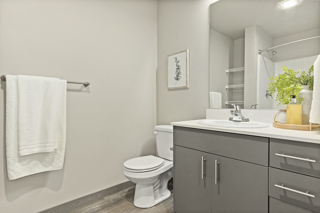 a bathroom with a toilet sink and mirror,