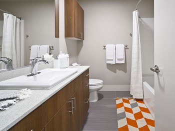 Beautifully tiled bathrooms Beautifully tiled bathrooms at Astro Apartments, Seattle, 98109 - Photo Gallery 5