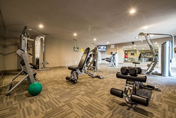 fitness center- weighted machines - Photo Gallery 11