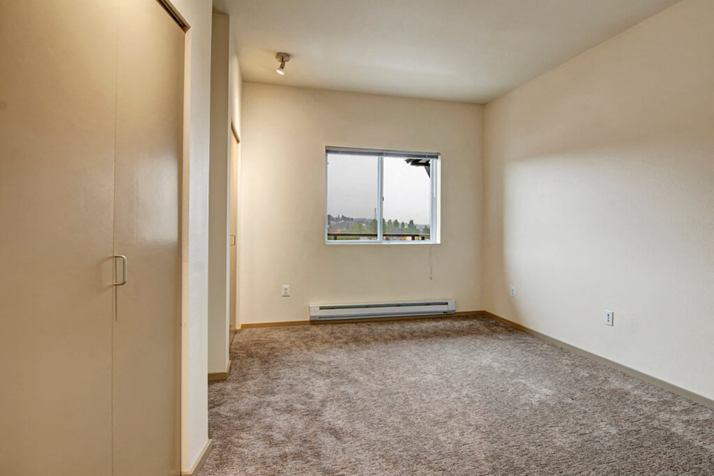 carpet, bedroom