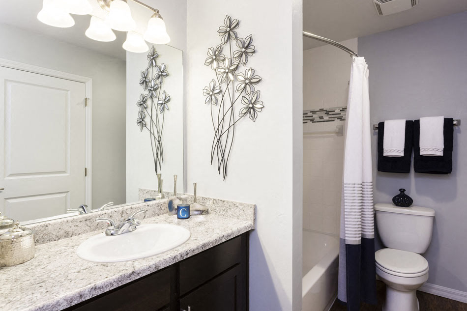 Channelside apartments in Fort Myers, Fl photo of Stylish Cabinetry in Bathroom