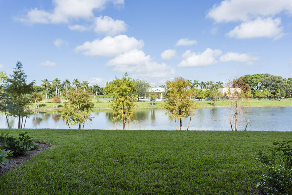Channelside apartments in Fort Myers, Fl photo of plenty of green spaces