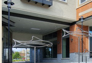 Landscaped swales to retain water throughout the neighborhood - Photo Gallery 4