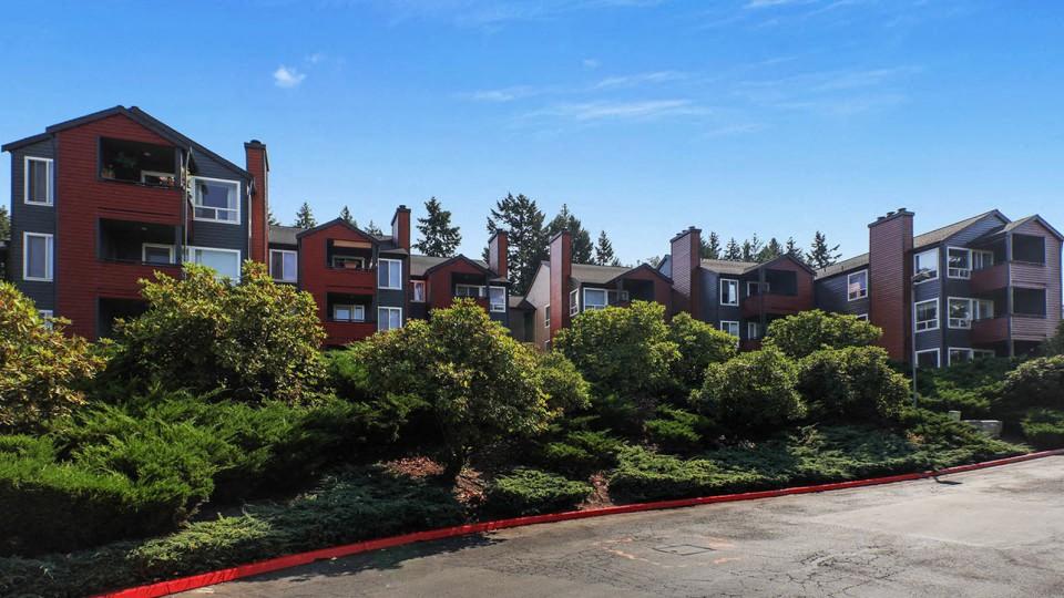 beautiful landscaping