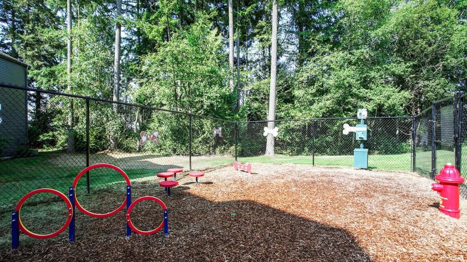 dog park with agility course