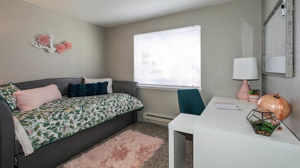 lots of natural light in apartment