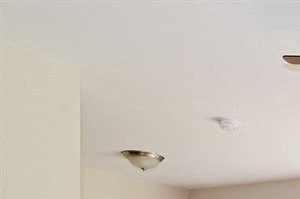 Hardwood Floors and ceiling fans in apartments