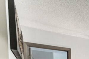 lots of natural light in apartment - Photo Gallery 3