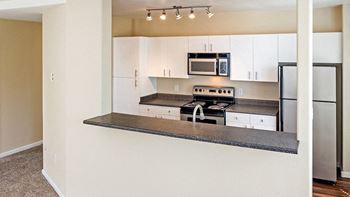Energy Efficient Stainless-Steel Appliances