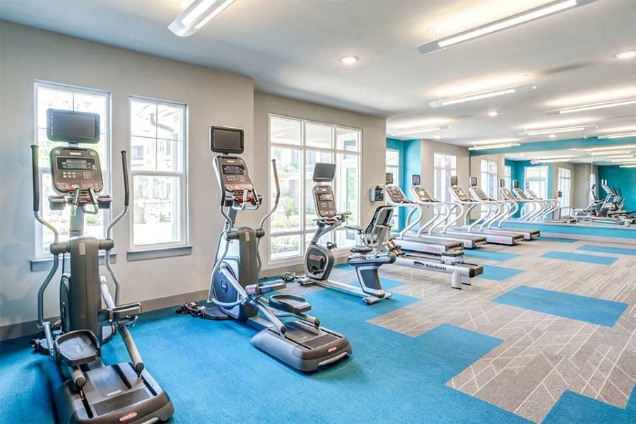 The Lotus at Starkey Ranch apartments in Odessa, FL photo of gym