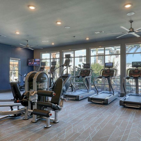 24-hour fitness center with cardio and strength equipment at The Ridley Apartments in Jacksonville's Southside neighborhood.