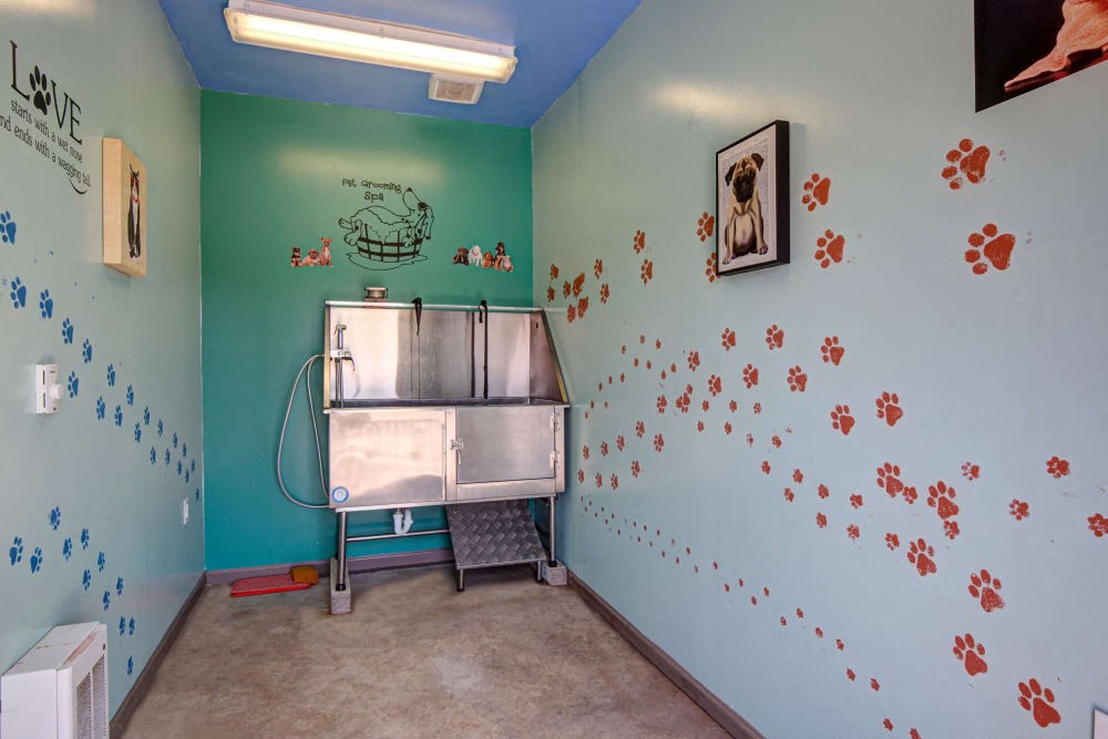 Pet wash station inside pet spa