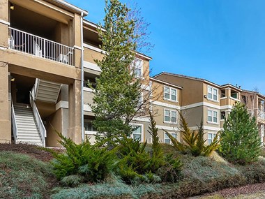 1855 Selmi Drive 1-3 Beds Apartment for Rent