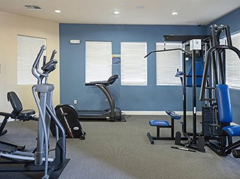 1855 Selmi Drive 1-3 Beds Apartment for Rent - Photo Gallery 3