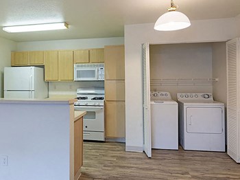 1855 Selmi Drive 1-3 Beds Apartment for Rent - Photo Gallery 6
