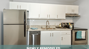 10103  Sherwood Lane Studio-2 Beds Apartment for Rent