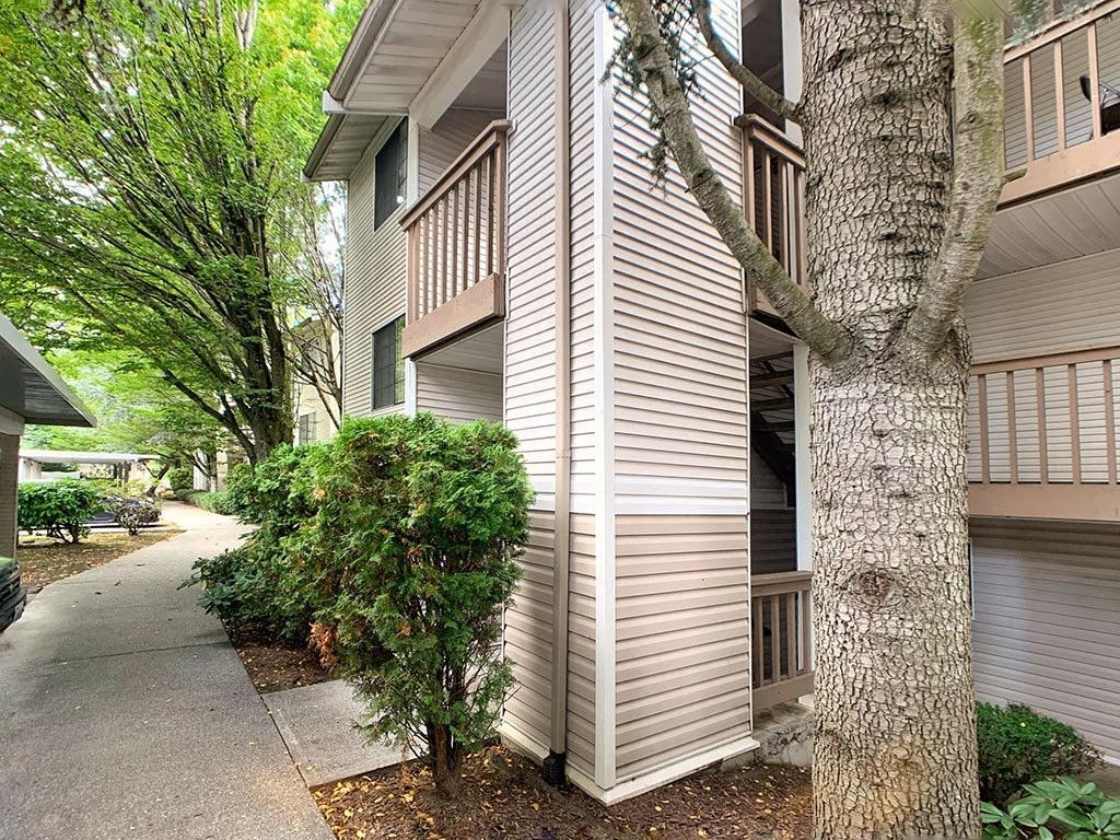 a side view of a building with trees and a sidewalk