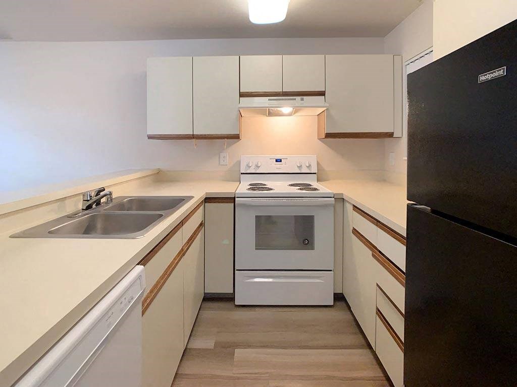 a kitchen with a stove and a sink and a refrigerator
