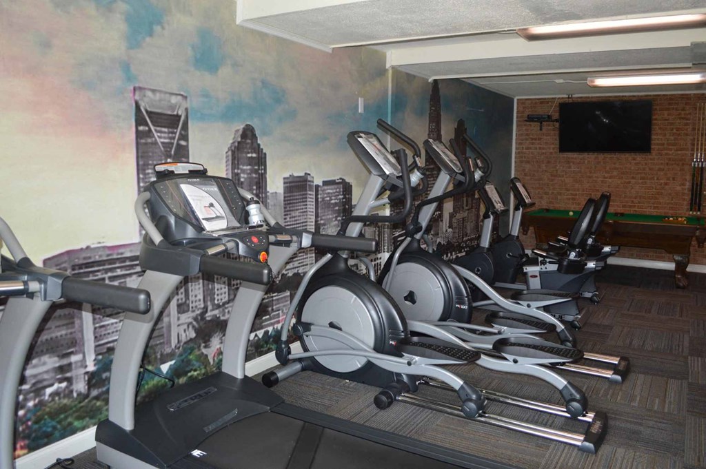 the gym is equipped with a variety of exercise equipment