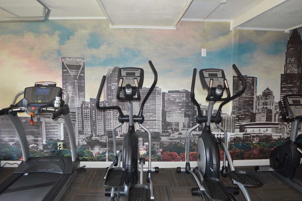a gym with exercise bikes in front of a wall mural