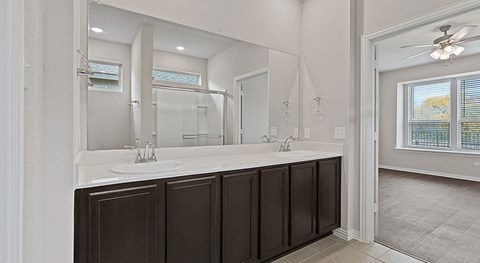 a bathroom with two sinks and a large mirror