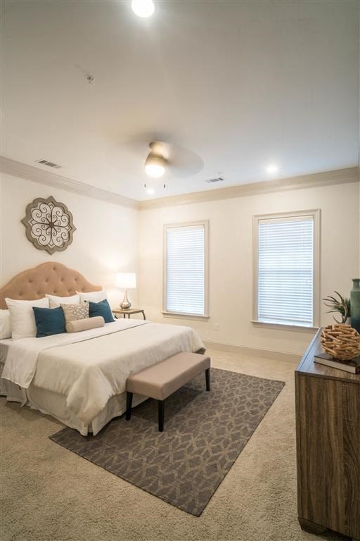 a bedroom with a large bed and a dresser