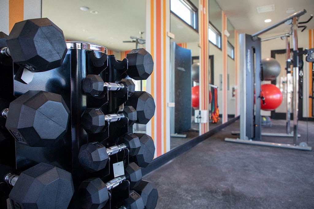 The Alowyn Homes At Centennial