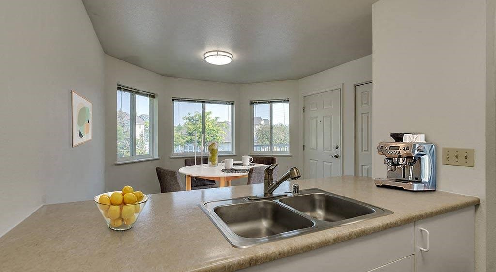 kitchen with double sink