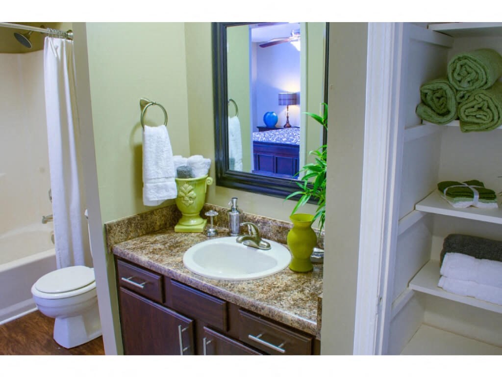 Summit at Hillcrest Apartments in Mobile. AL photo of bathroom