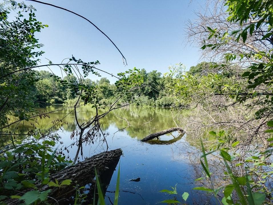 a boat sinking in the water in a pond