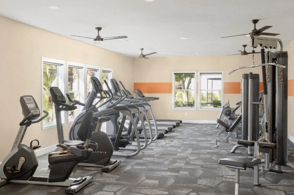 the gym is equipped with cardio equipment and weights