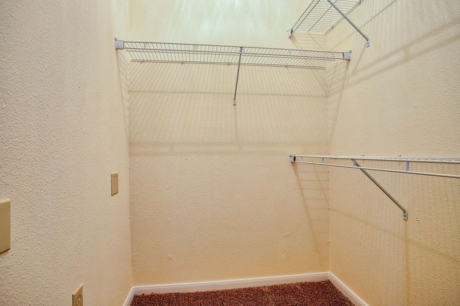 closet with shelves and carpet
