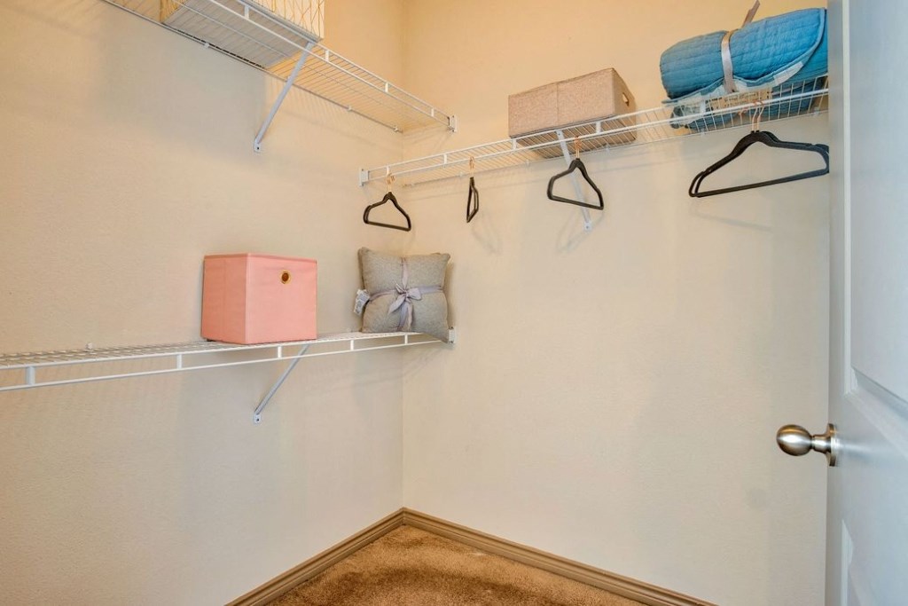 Closet with carpet and shelves