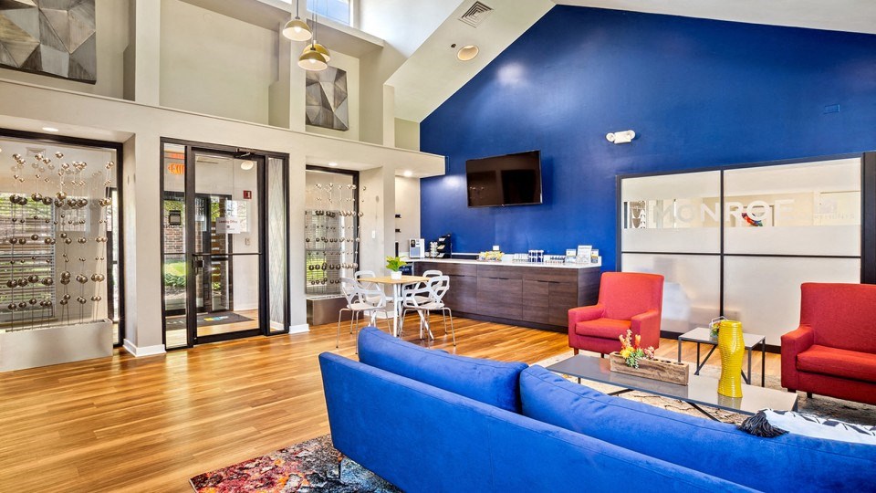 a living room with a blue wall and a blue couch