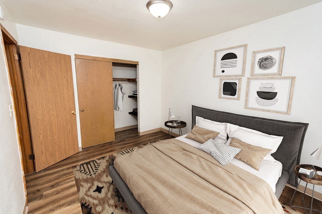 a bedroom with a bed and a closet