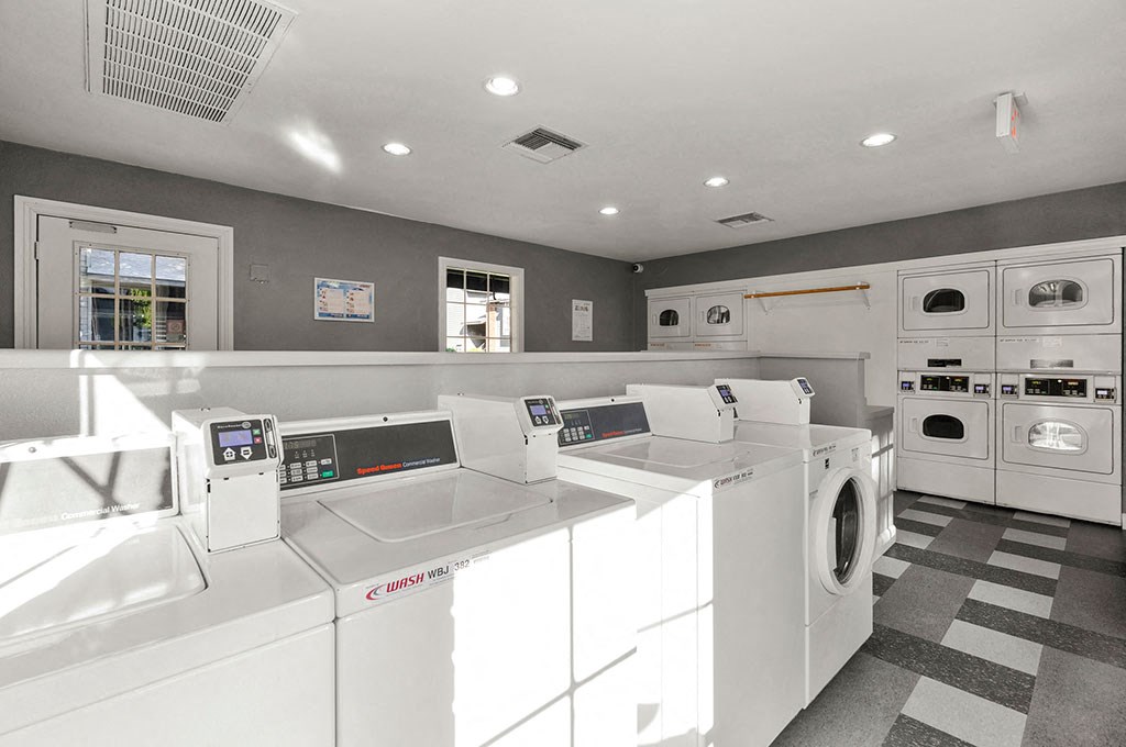 a laundry room with rows of washes and dryers