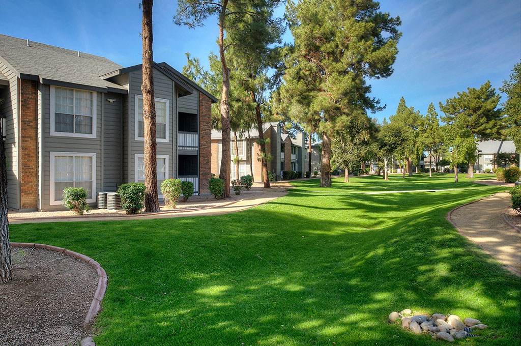 our apartments have a spacious courtyard with trees and grass