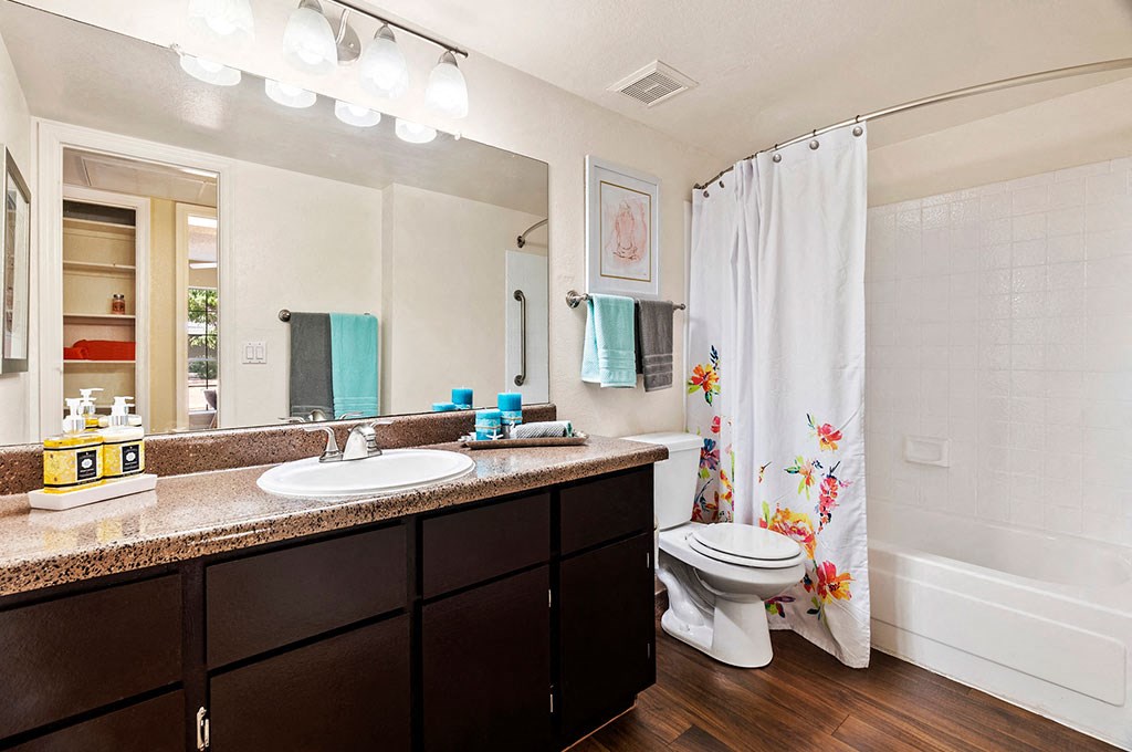 a bathroom with a sink and a toilet and a shower