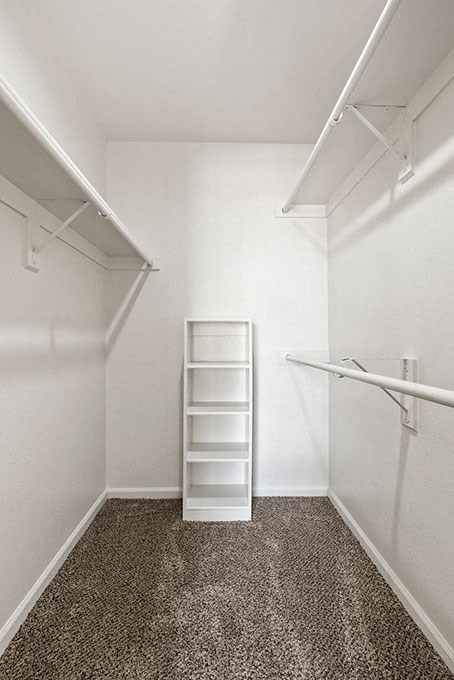a white walk in closet with a ladder in it