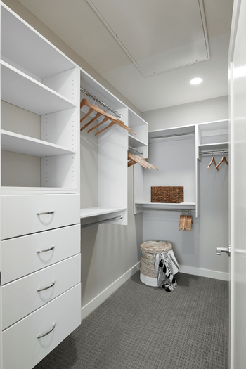 Oversized Large Walk-in closets