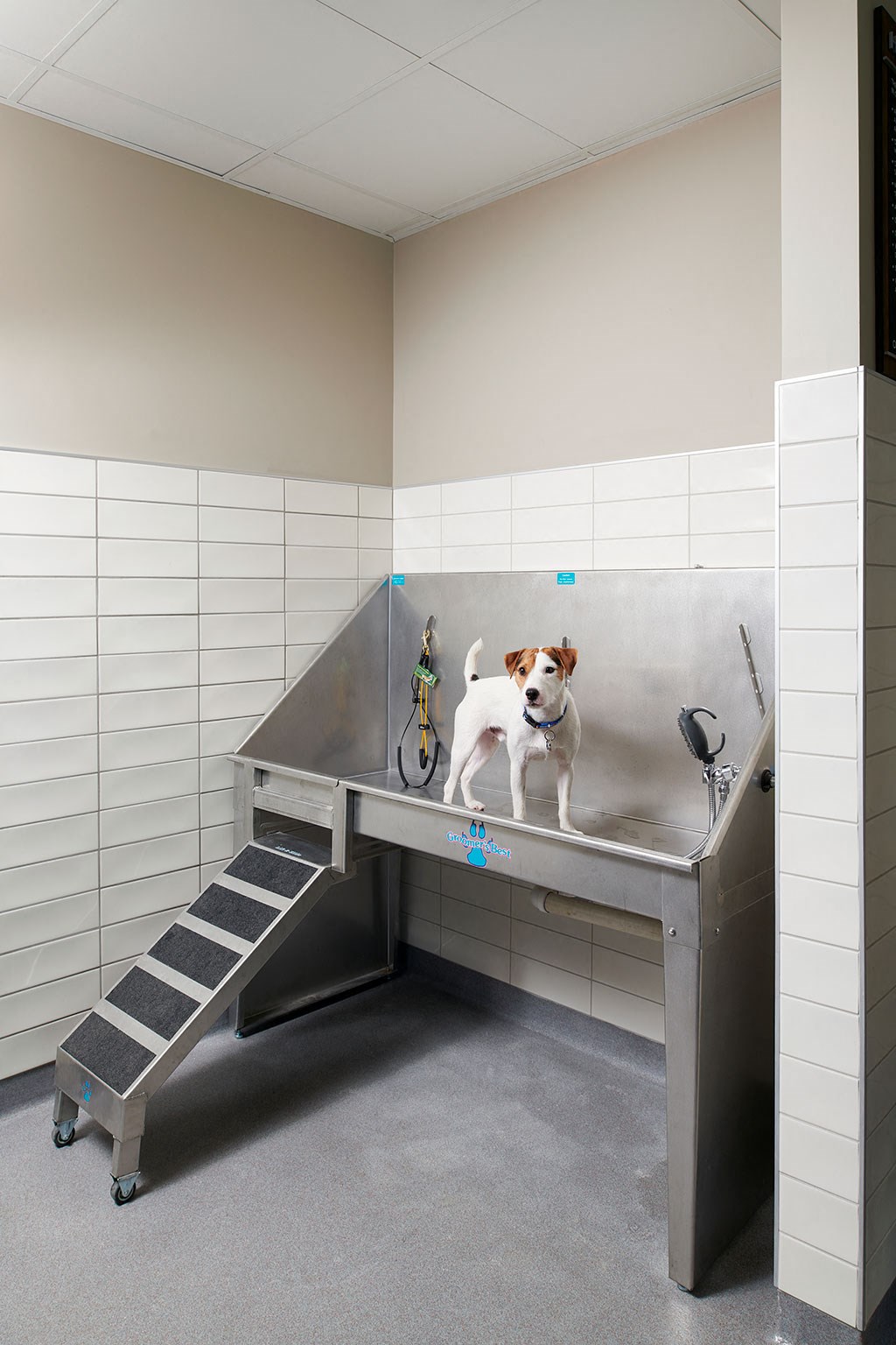 a dog standing in a sink in a jail