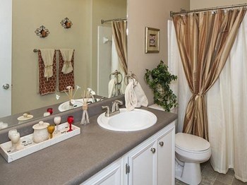 Parkway Grand apartments in Decatur Georgia photo of bathroom - Photo Gallery 9