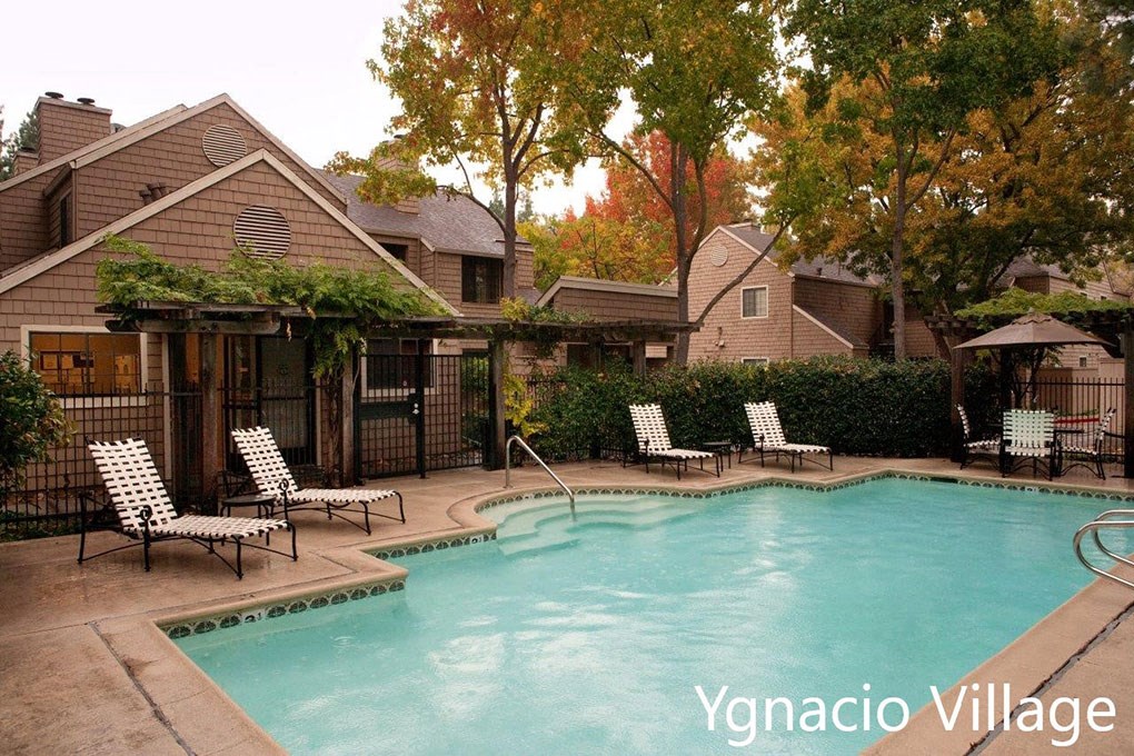 our apartments showcase a swimming pool