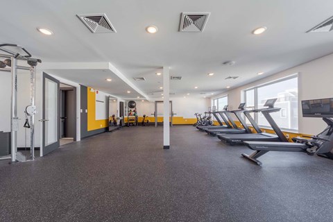 Fitness center with yellow accent walls, treadmills along a windowed wall, cable machine, power cage, and spin bikes